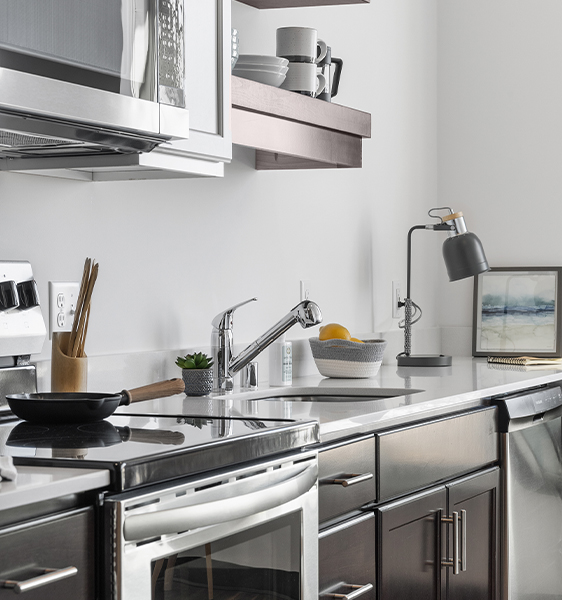 the apartment kitchen